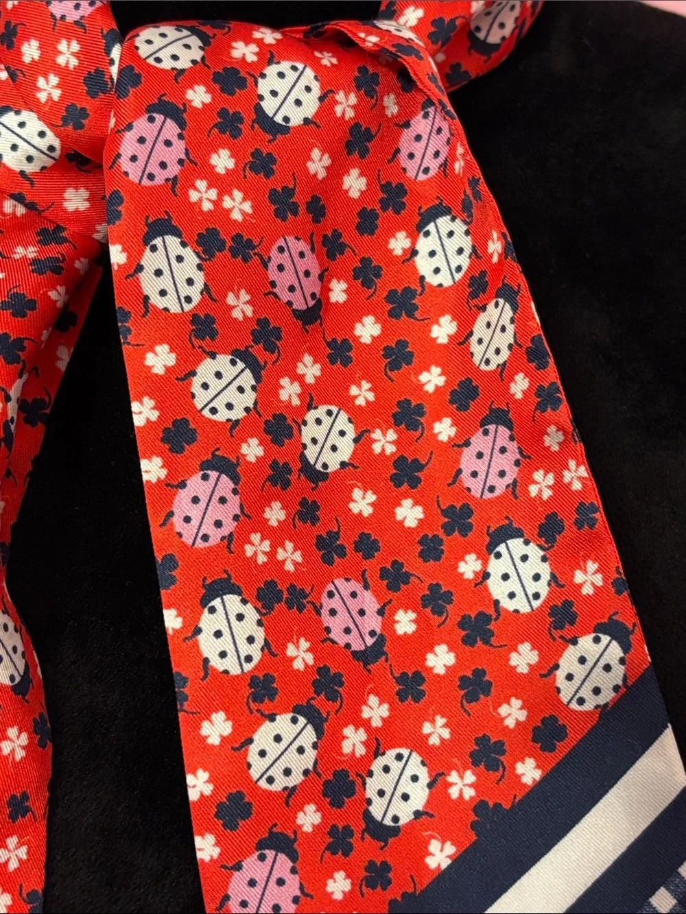 Satin Red and Blue Ladybug and Gingham Scarf